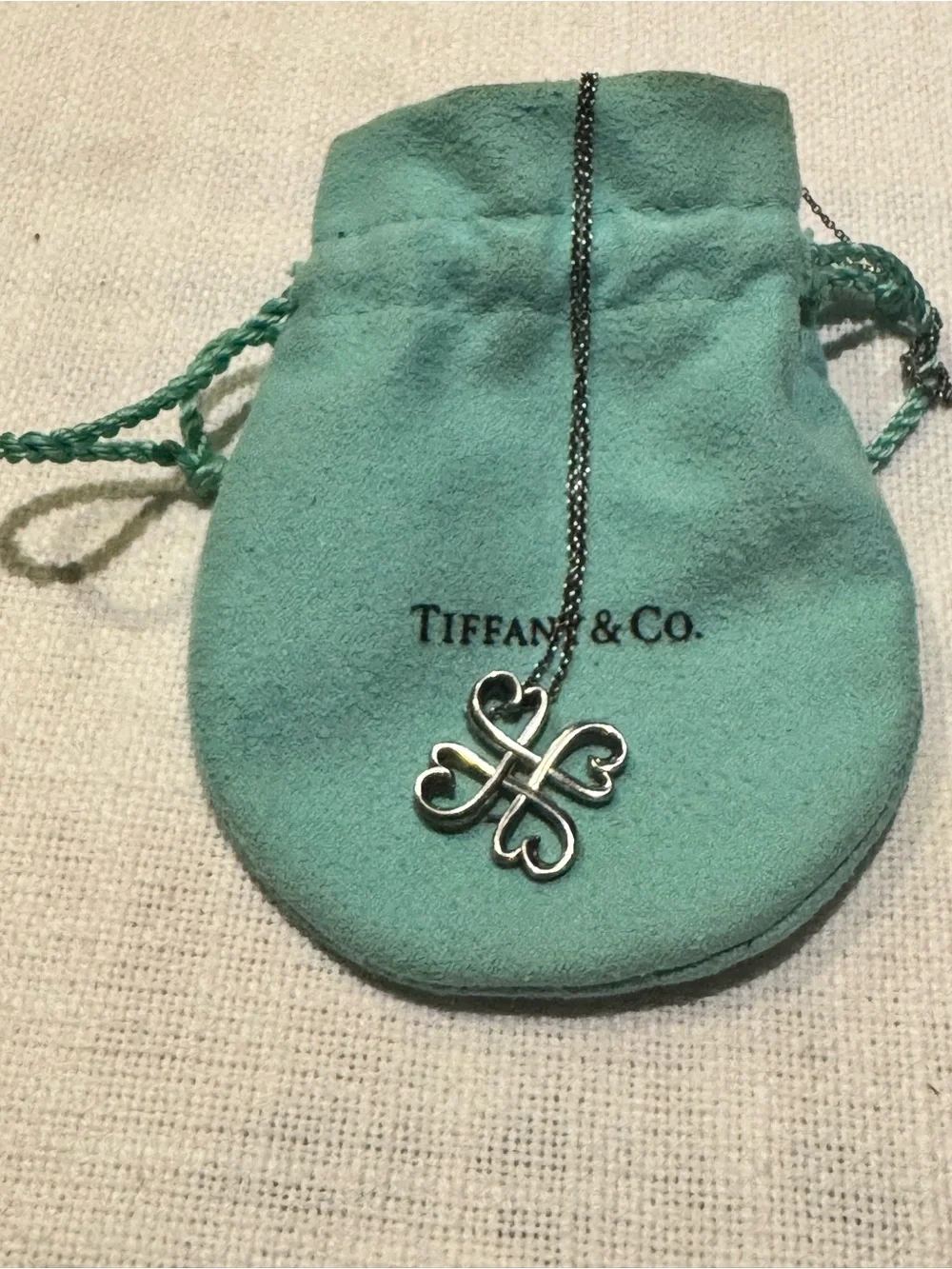 Tiffany & Co. Sterling Silver Chain Necklace with Spring Ring Clasp